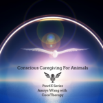 TRE PAWDX LIVE Conscious Caregiving For Animals